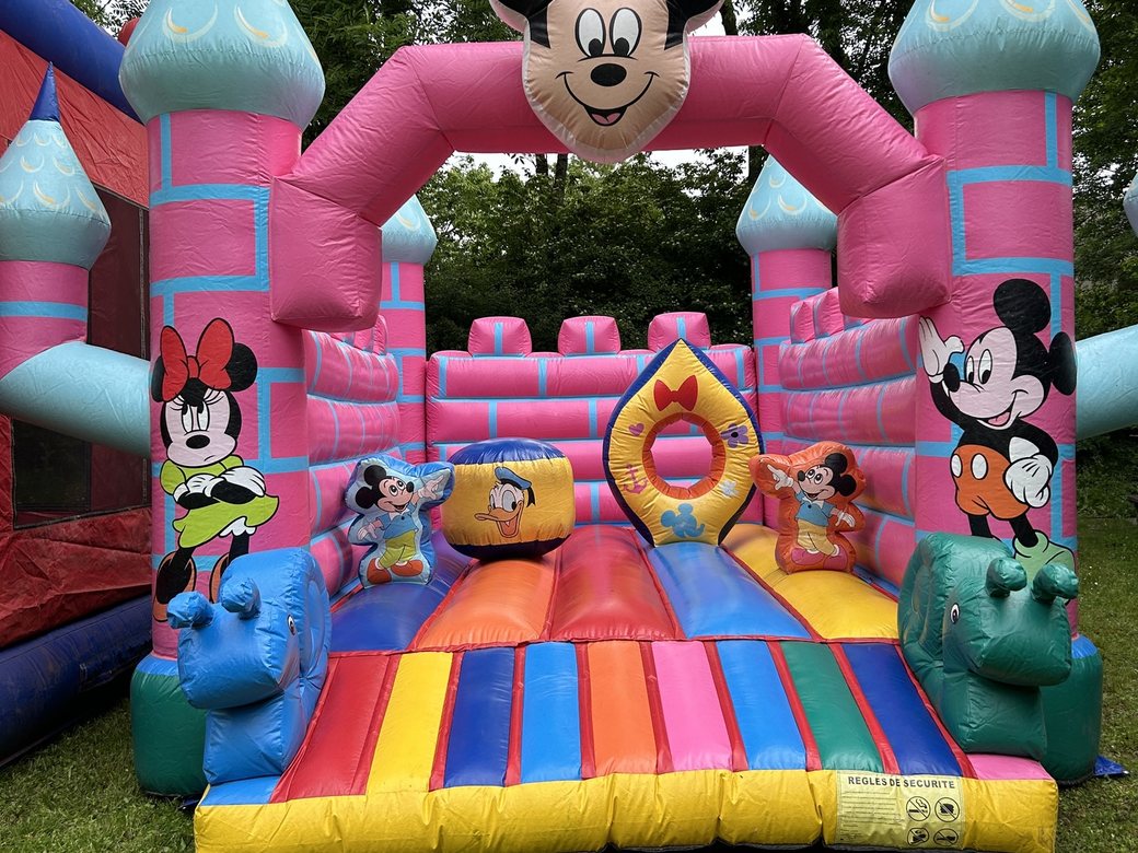 Mickey & Friends à louer – Animakids Luxembourg (photo 3)