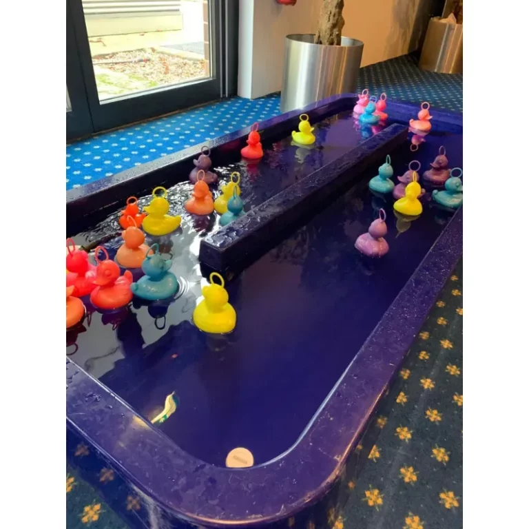 Peche aux canards – location Animakids Luxembourg – vue 3